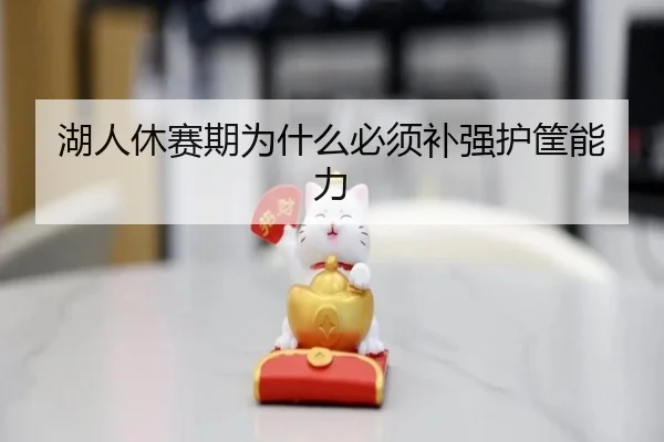 湖人休赛期为什么必须补强护筐能力