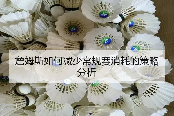 詹姆斯如何减少常规赛消耗的策略分析